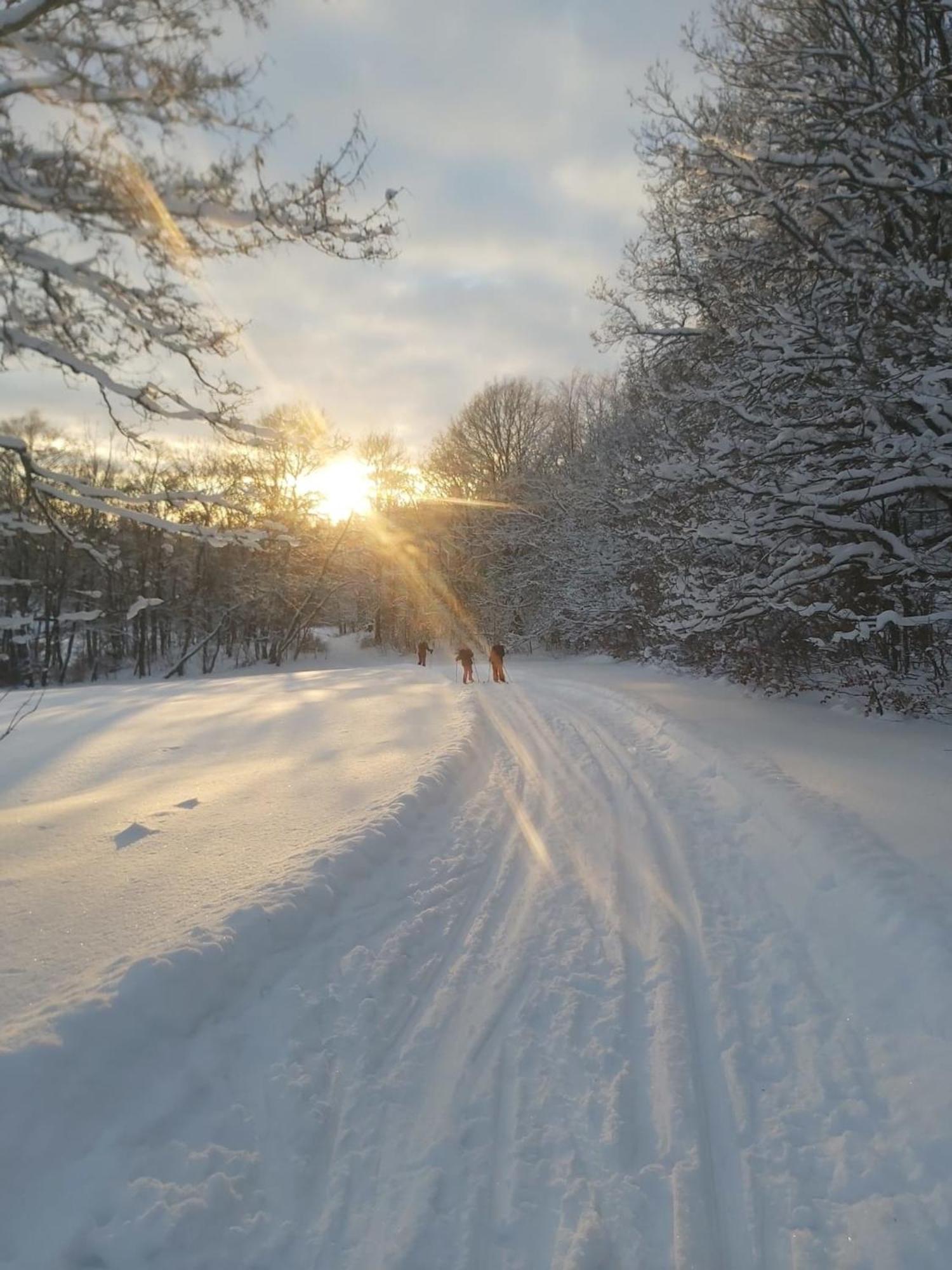Ferienwohnung Sonnenschein Mit Kleinem Bauernhof Thale Bagian luar foto